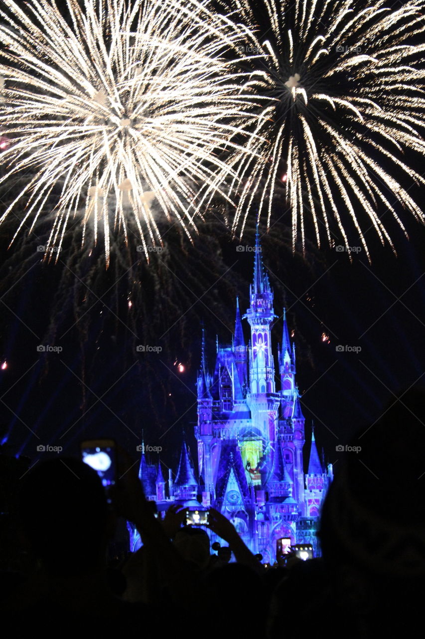 Fireworks at the Castle, Disney, Orlando, FL