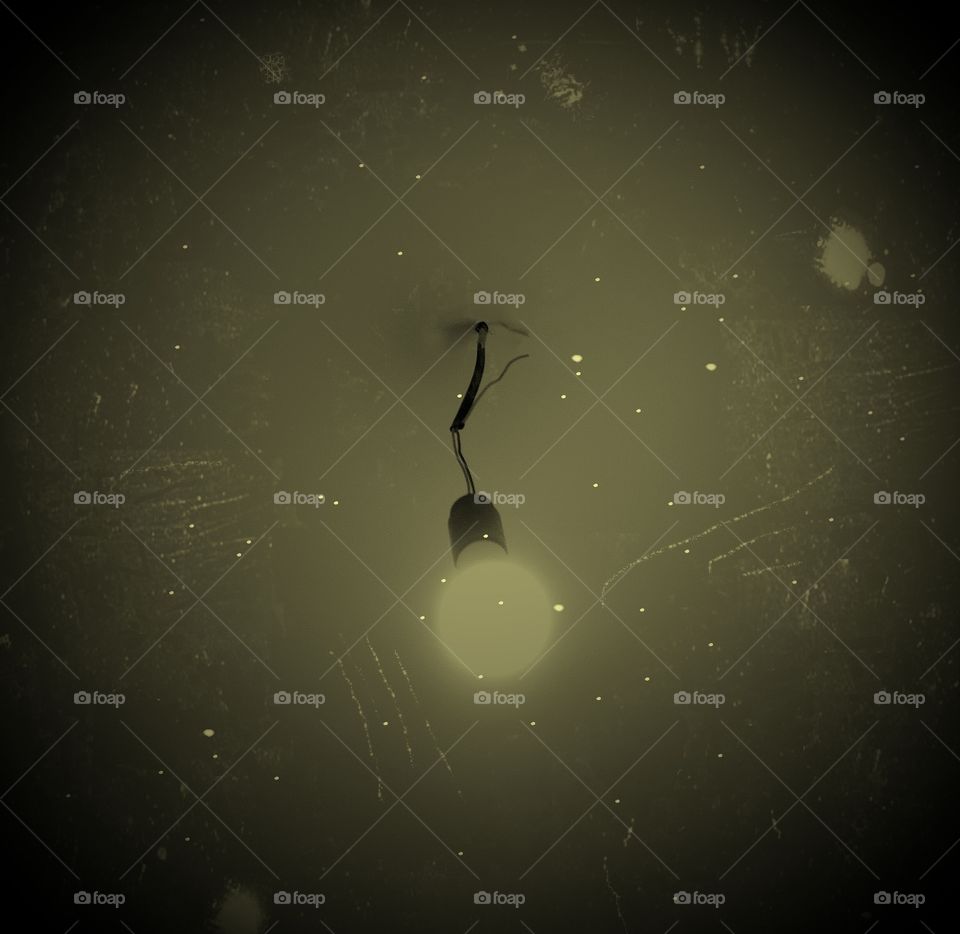 Light bulb, light and more