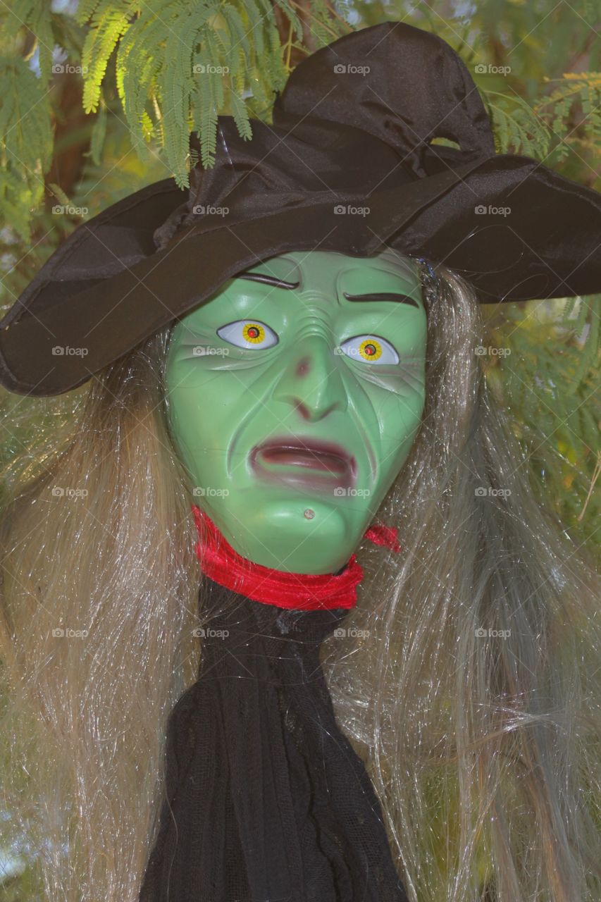 Witch hanging in a tree 