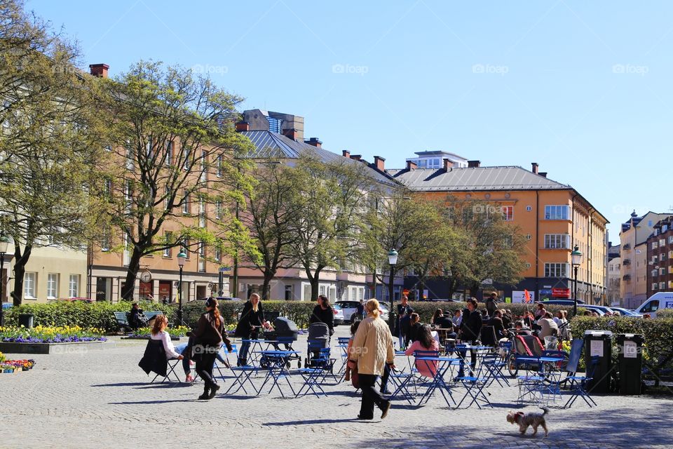 Food Market Davidshall, Malmö