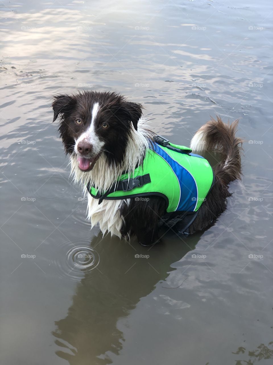 Safety First! I love to swim but no matter what, my mom likes to make sure that I have my life vest on so I can have fun, safely!
