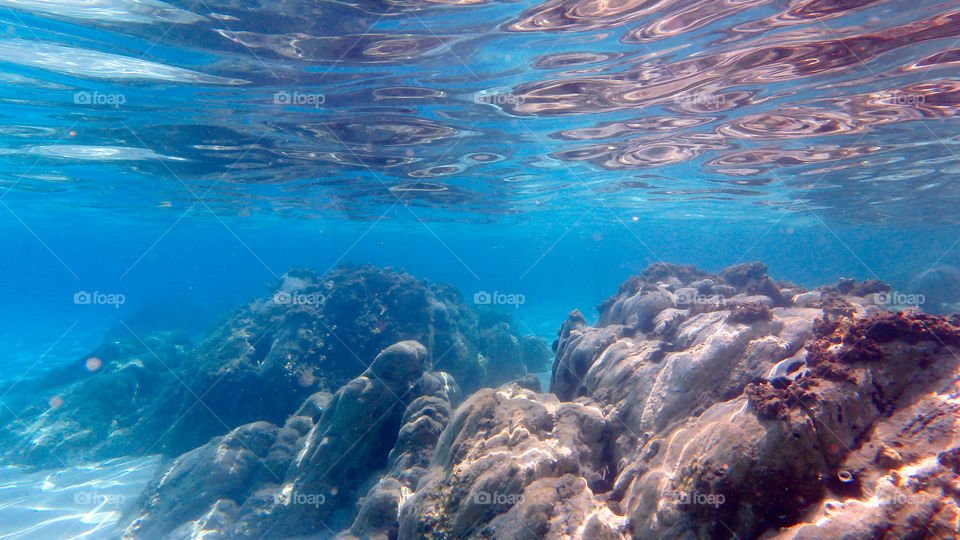 Close-up of rock and coral underwater