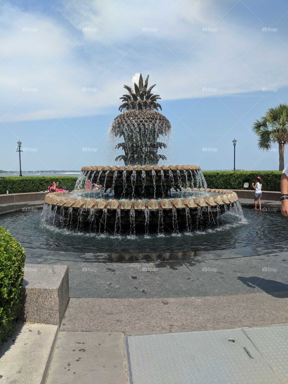 A picture of the pineapple fountain in Charleston, SC