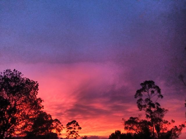 evening sky