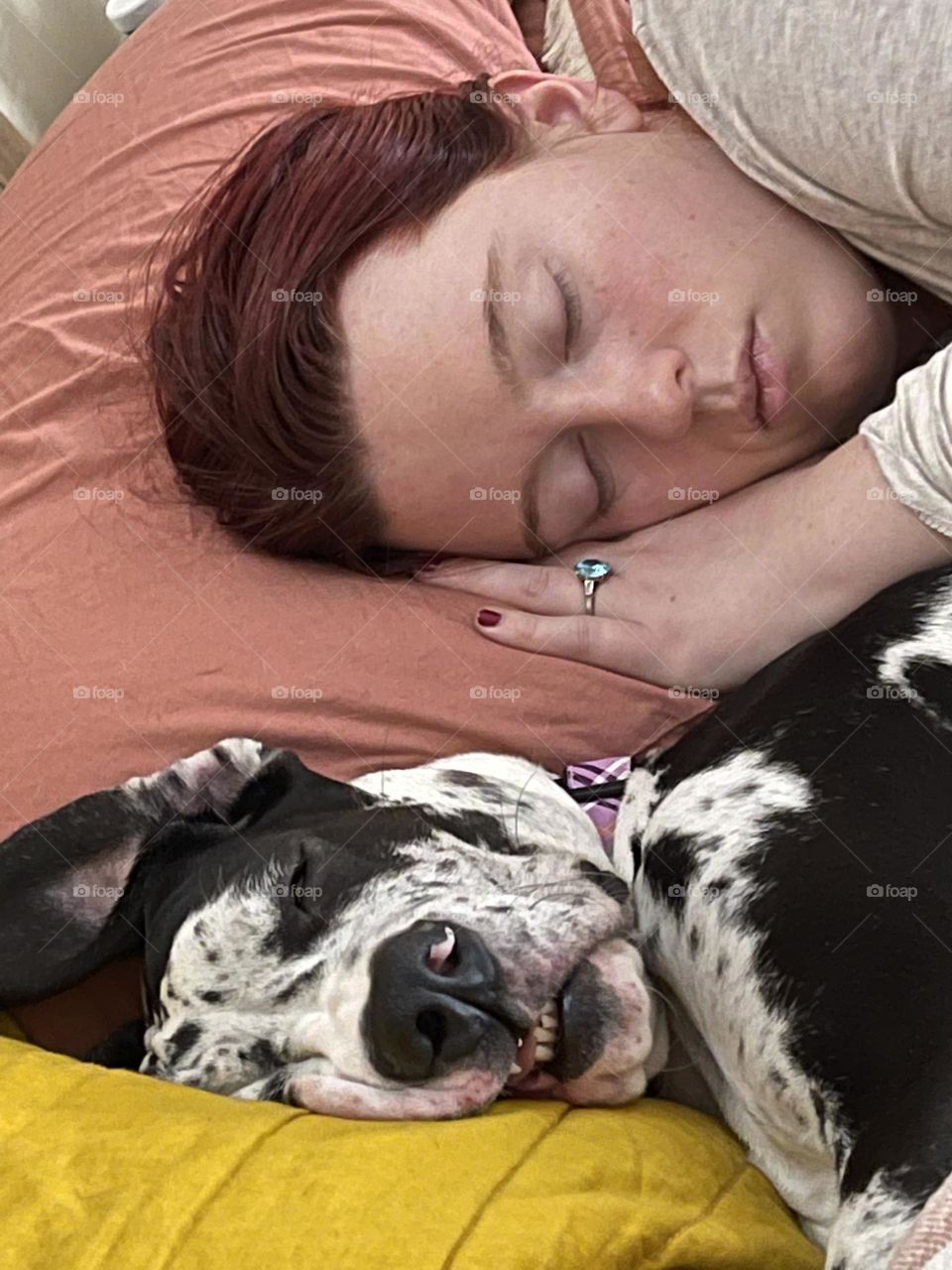 Sleeping beauty, but the dogs look of disgust says it all, it’s Monday and that is not my fun day. 