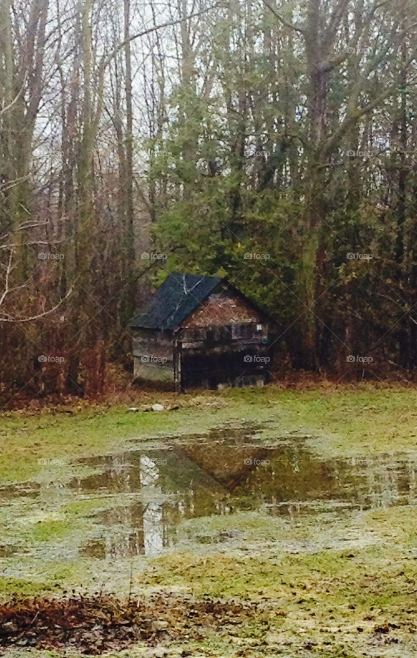 Lonely shed