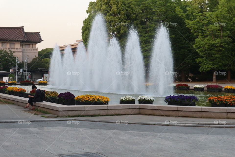 Water fountain at Ueno park ,Japan 