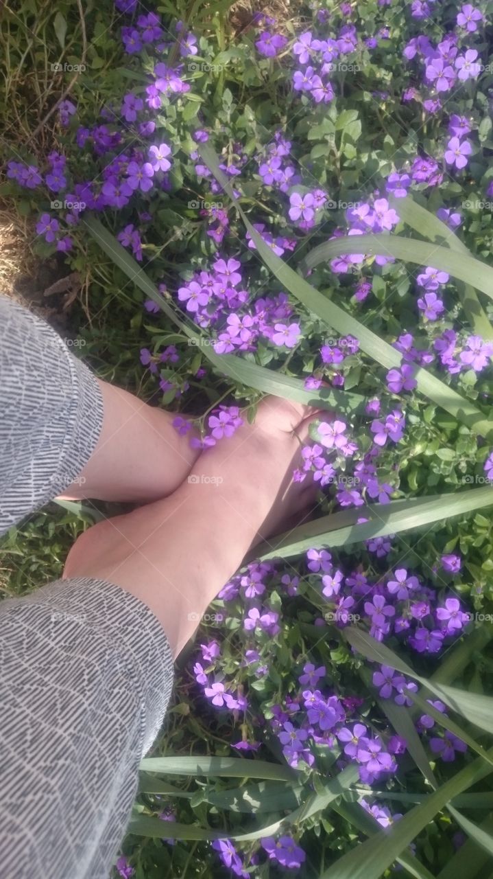 my feet in the flowers outside my house enjoying the weather