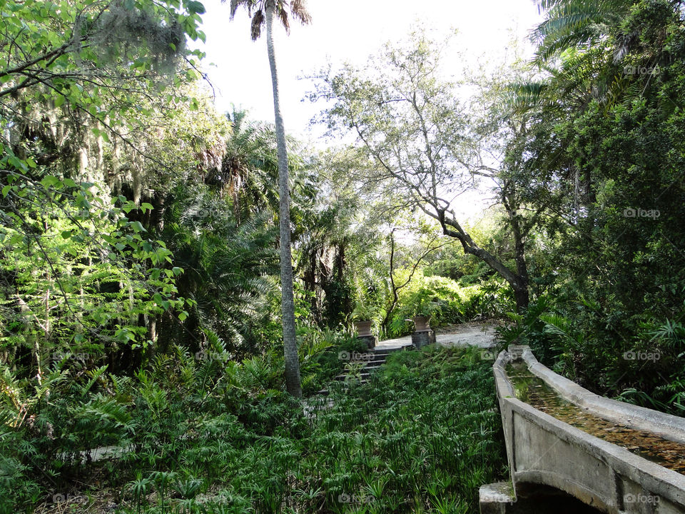garden jungle steps florida by wordfanne