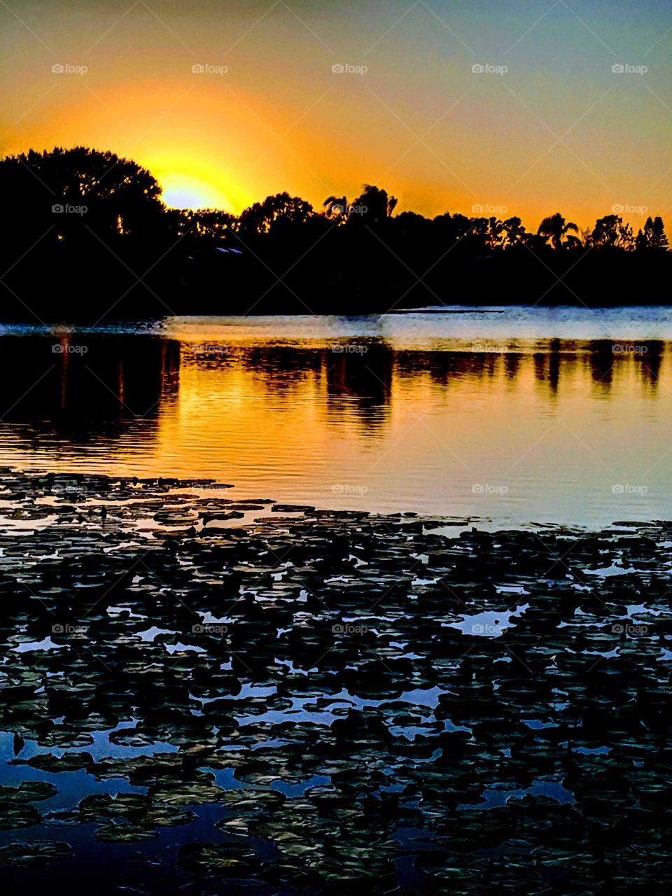 Beautiful Florida Sunset