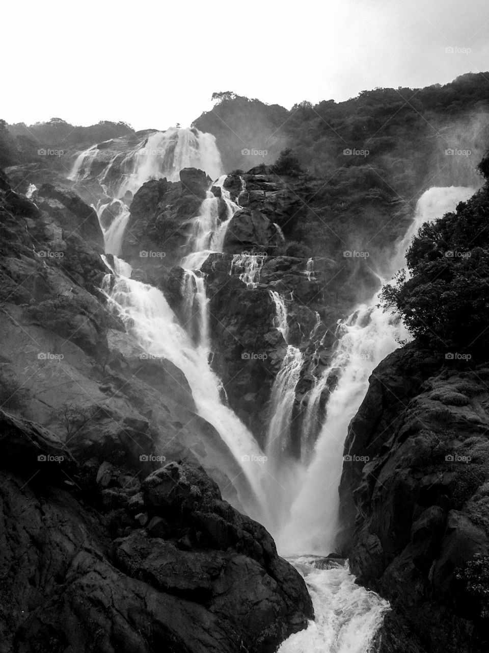 Dudh sagar waterfalls located in the state of Goa,India.