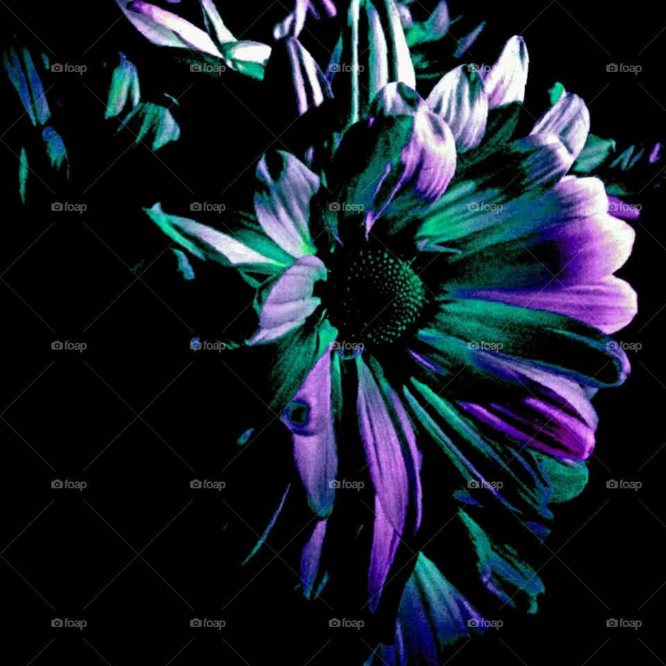 i am beautiful. lighting effects