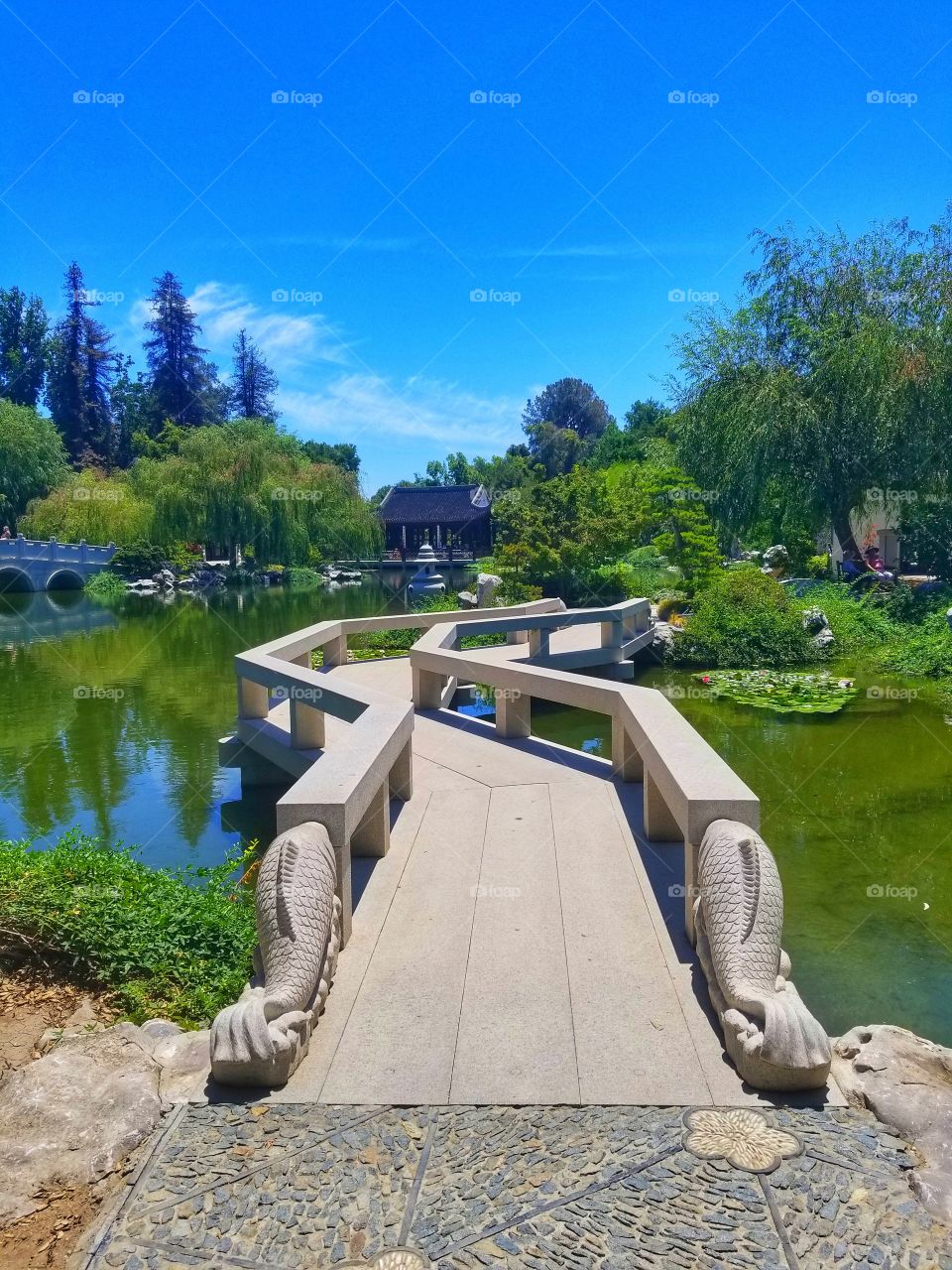 Koi Bridge