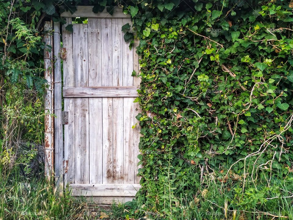 wooden door