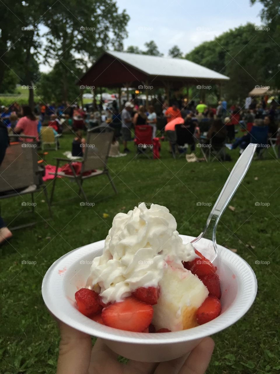 Strawberry cohort cake in the park