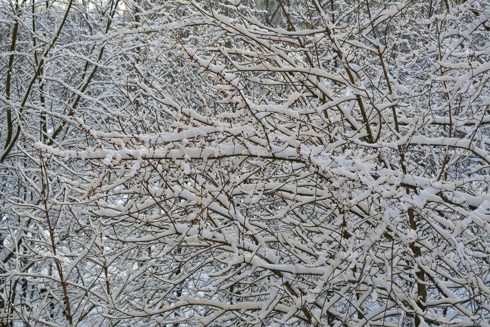 Desktop, Frost, Winter, Texture, Abstract