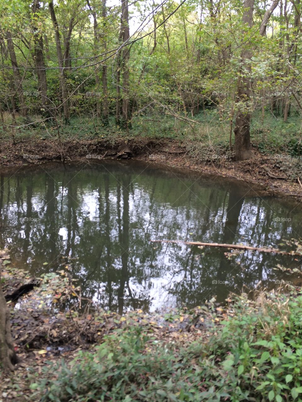 Blue Hole reflection 