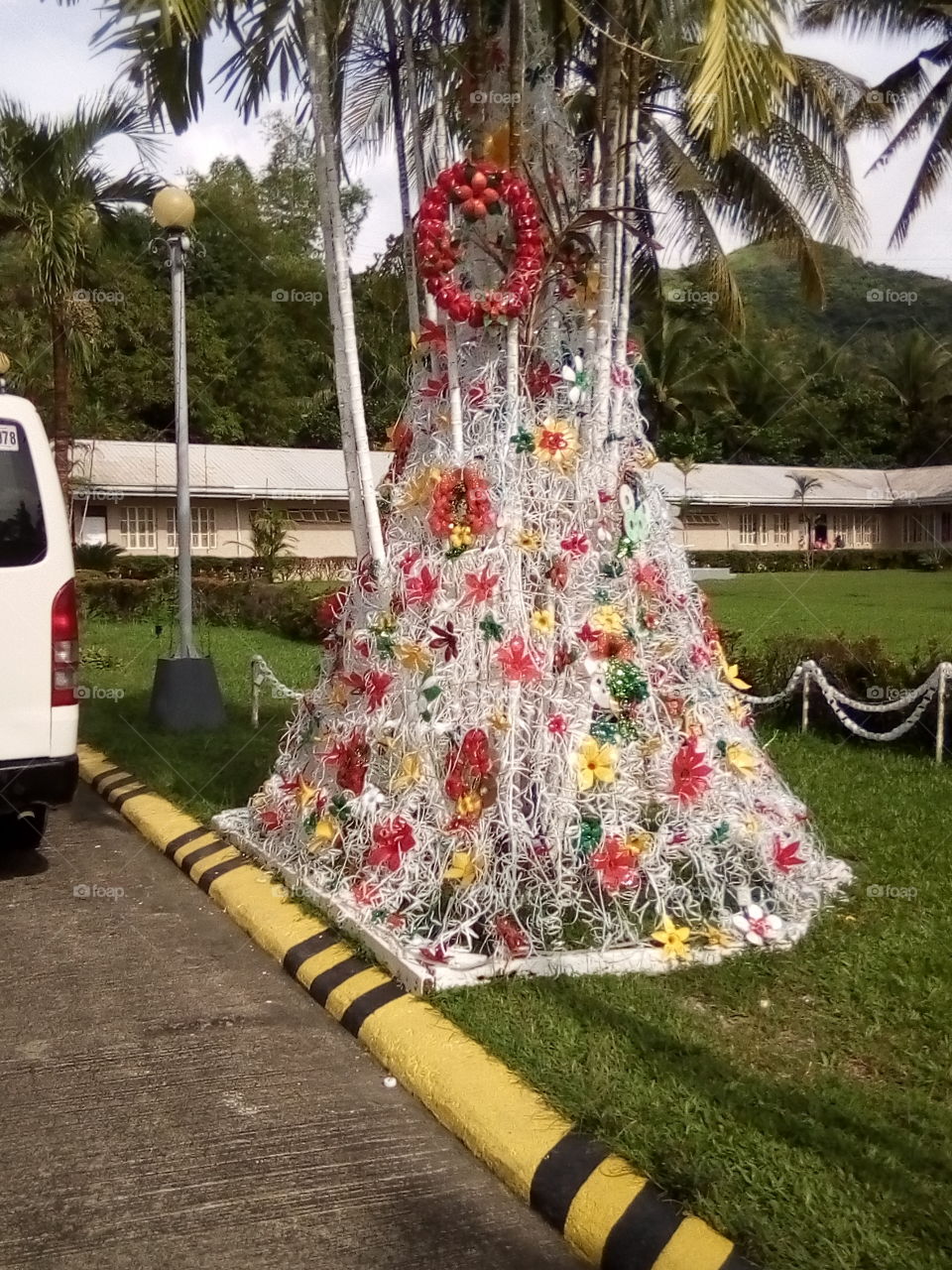 recycling christmass tree