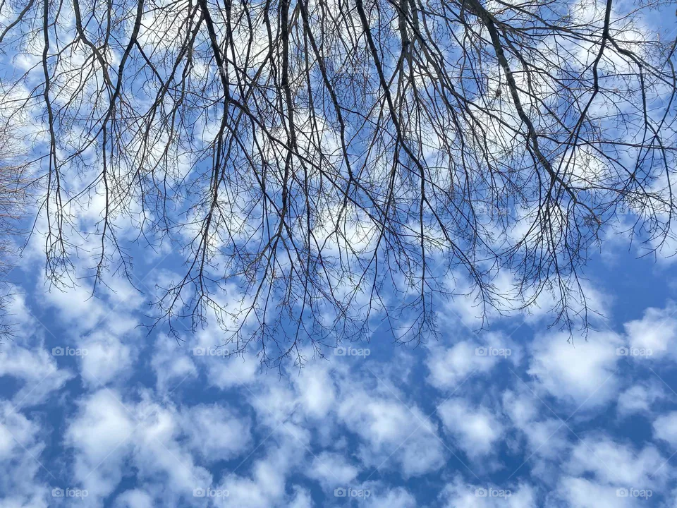 Blue sky