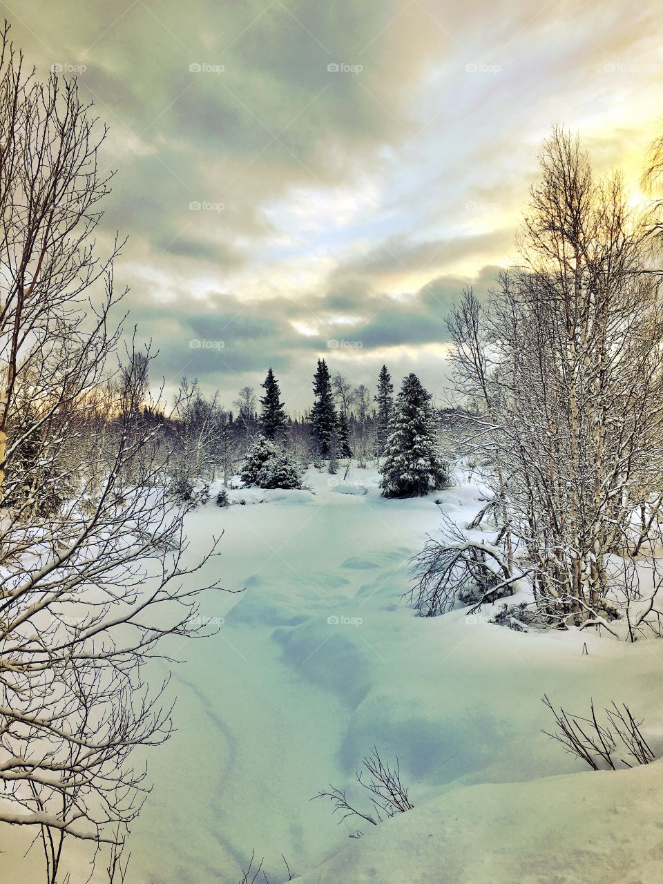 View of snowy landscape