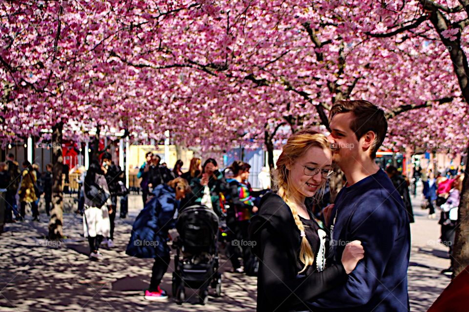 Enjoying in the park with cherry trees!