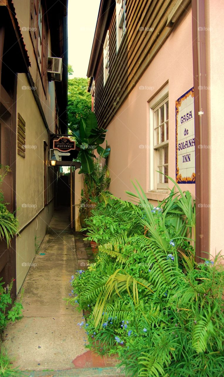 Flowers in alley way