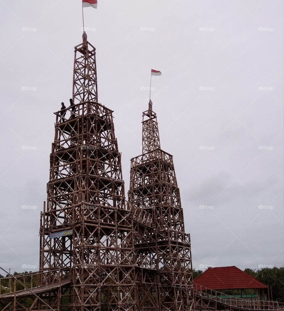 The Twins Tower in Mangrove Forest.