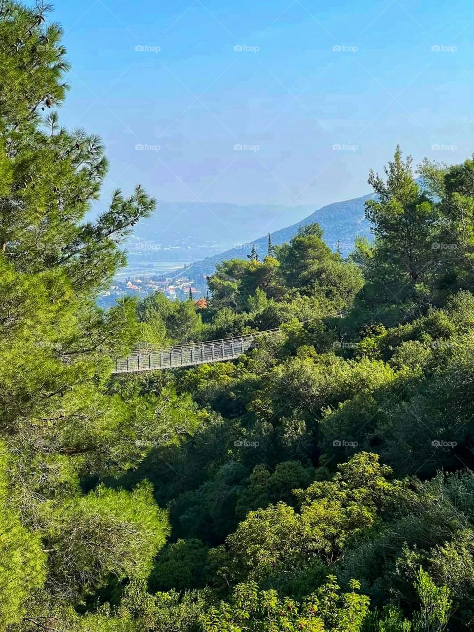 Nature in Haifa