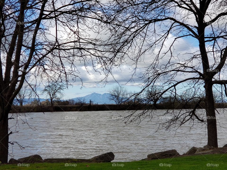 mountain through the trees