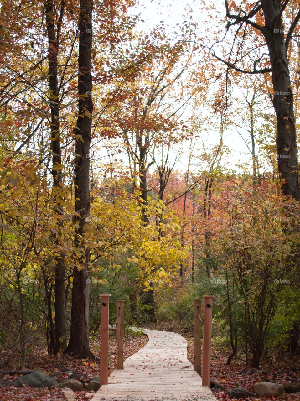 Just because my path is different doesn’t mean I’m lost.