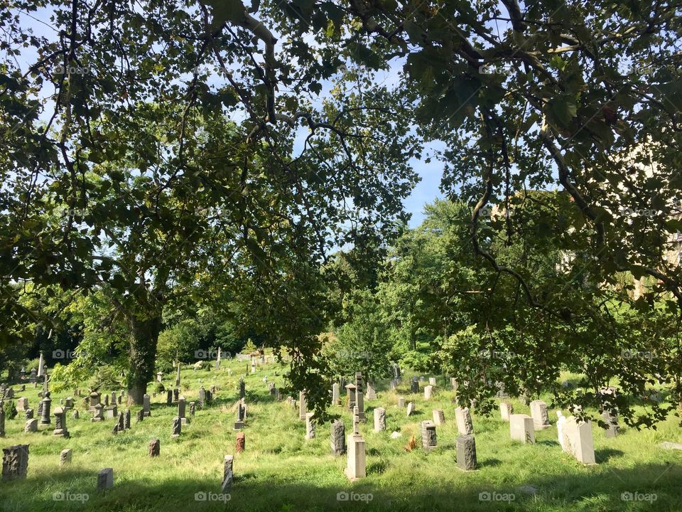 New Jersey cemetery 