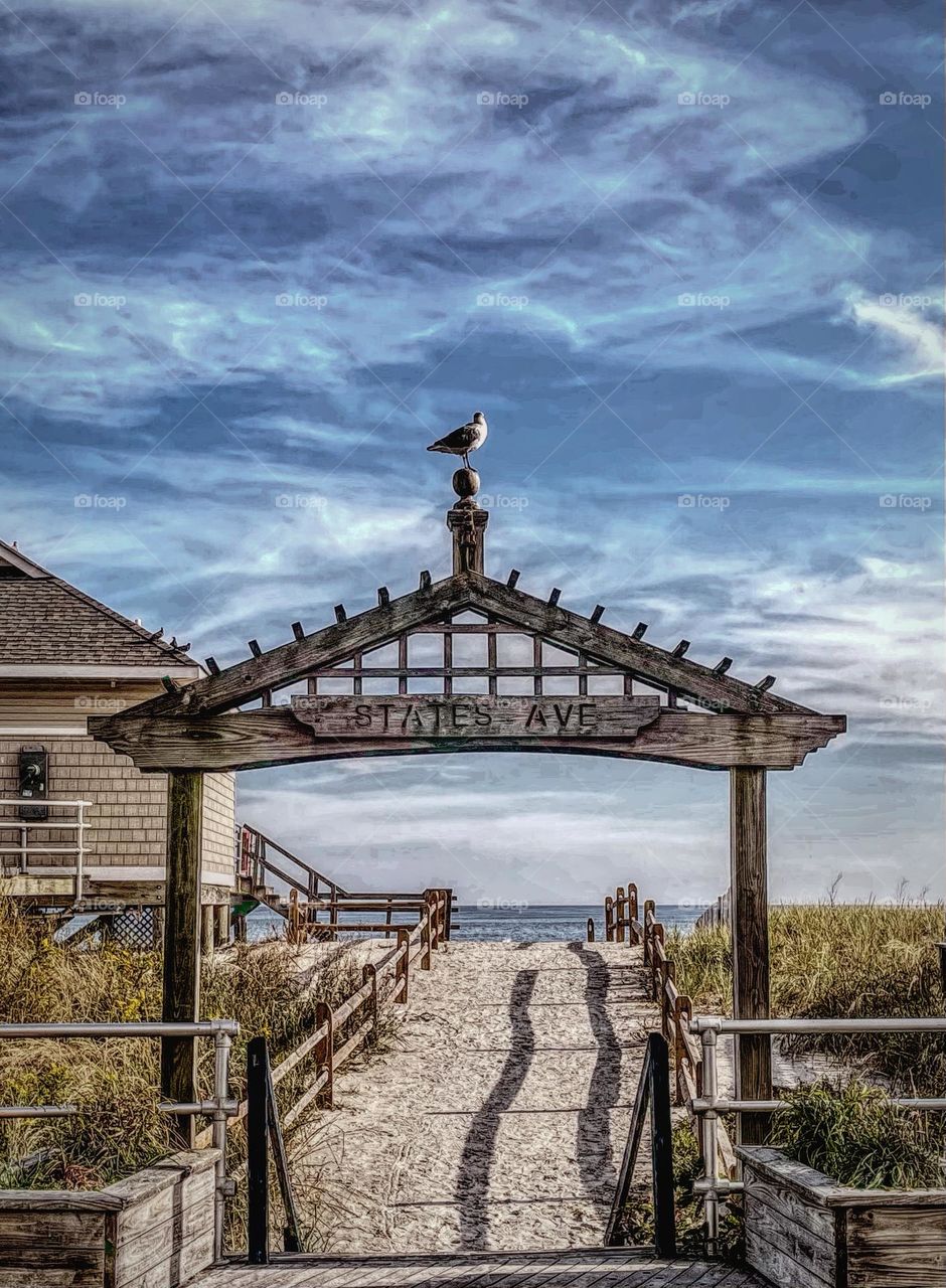 Bird perched on wood