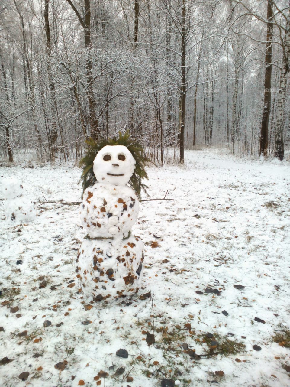 Winter, Snow, Cold, Wood, Frost