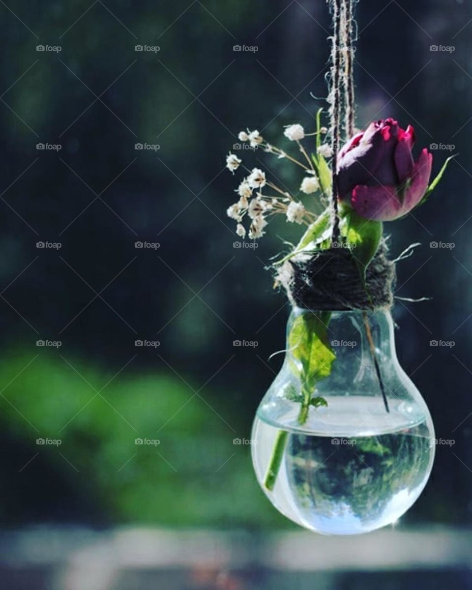 Upcycled bulb for a plant lover