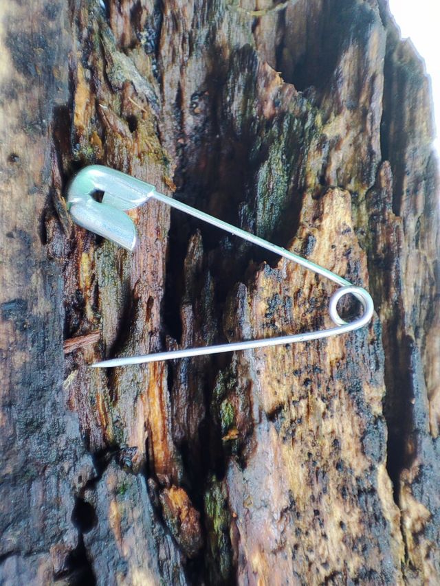 Weathered wood and Safety Pin