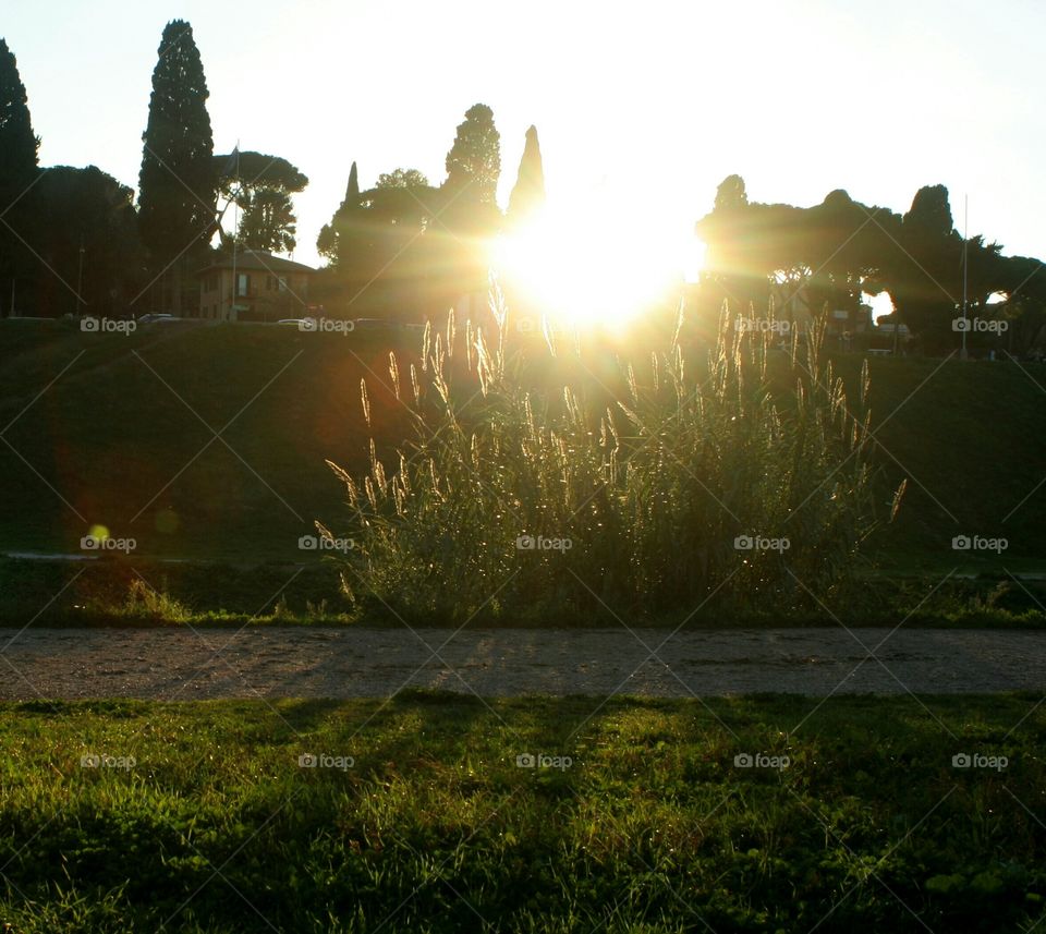 Sun while setting, view from Circus Maximus.