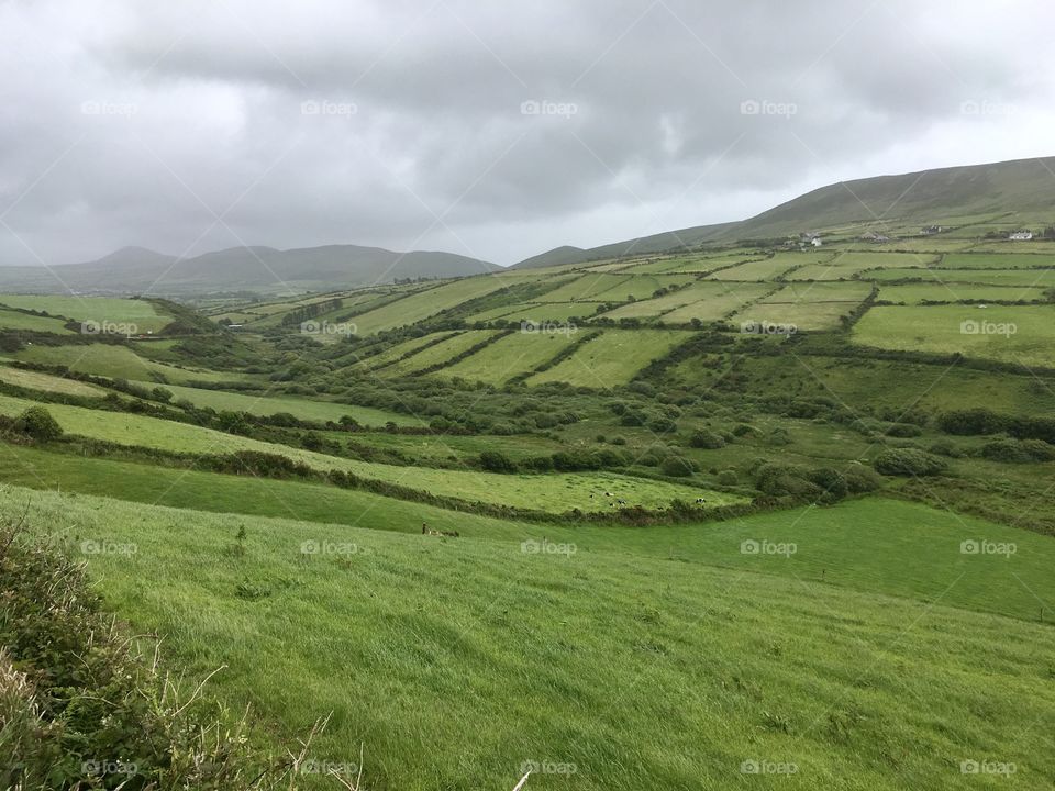 Rolling Green Fields