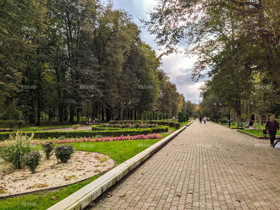 Rope park. Ivano-Frankivsk, Ukraine