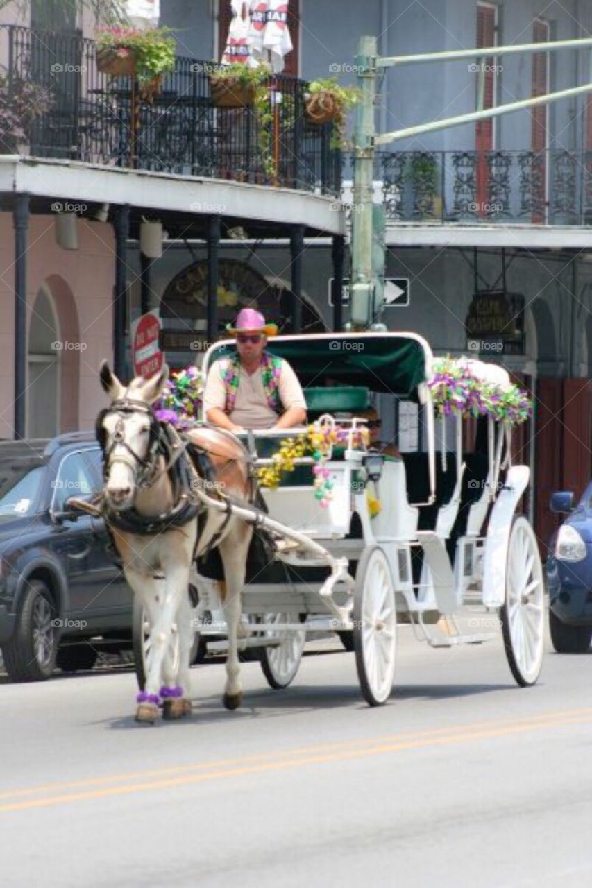 Horse and carriage . New Orleans tours