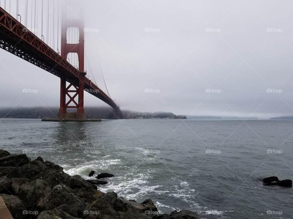 Foggy morning walk in San Francisco