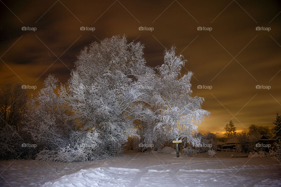 Beautiful winter night landscape