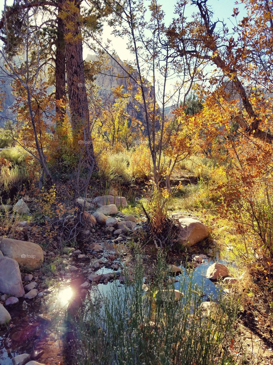 red rock in the fall