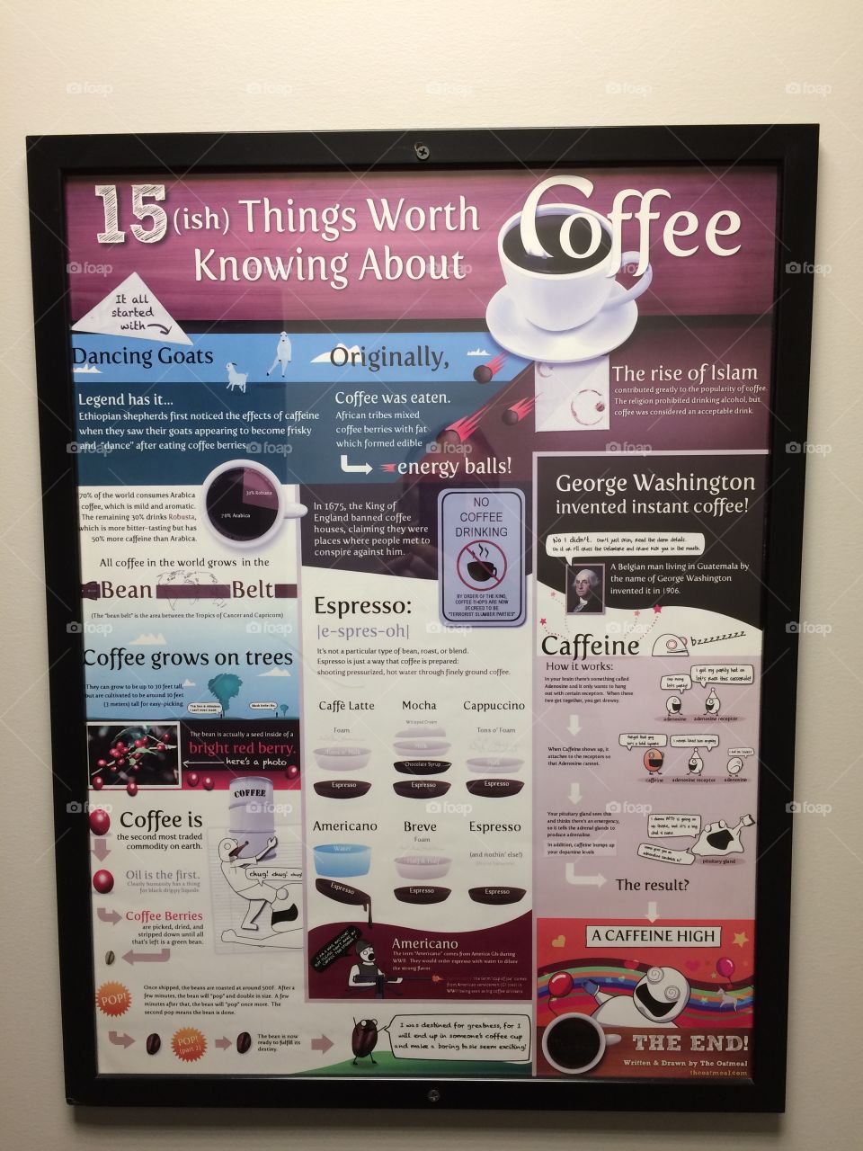 15ish things to know about Coffee 