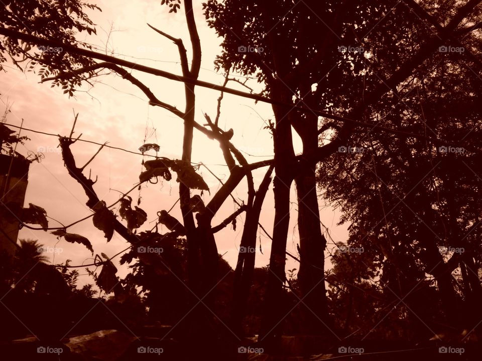 An evening photo / Your evening photo / My evening photo / Everyone's evening photo / A pleasant evening photo / A colorful evening photo / Red evening red photo / Unique evening photo / Fantastic evening photo / Memorable evening  Photo of / our eve