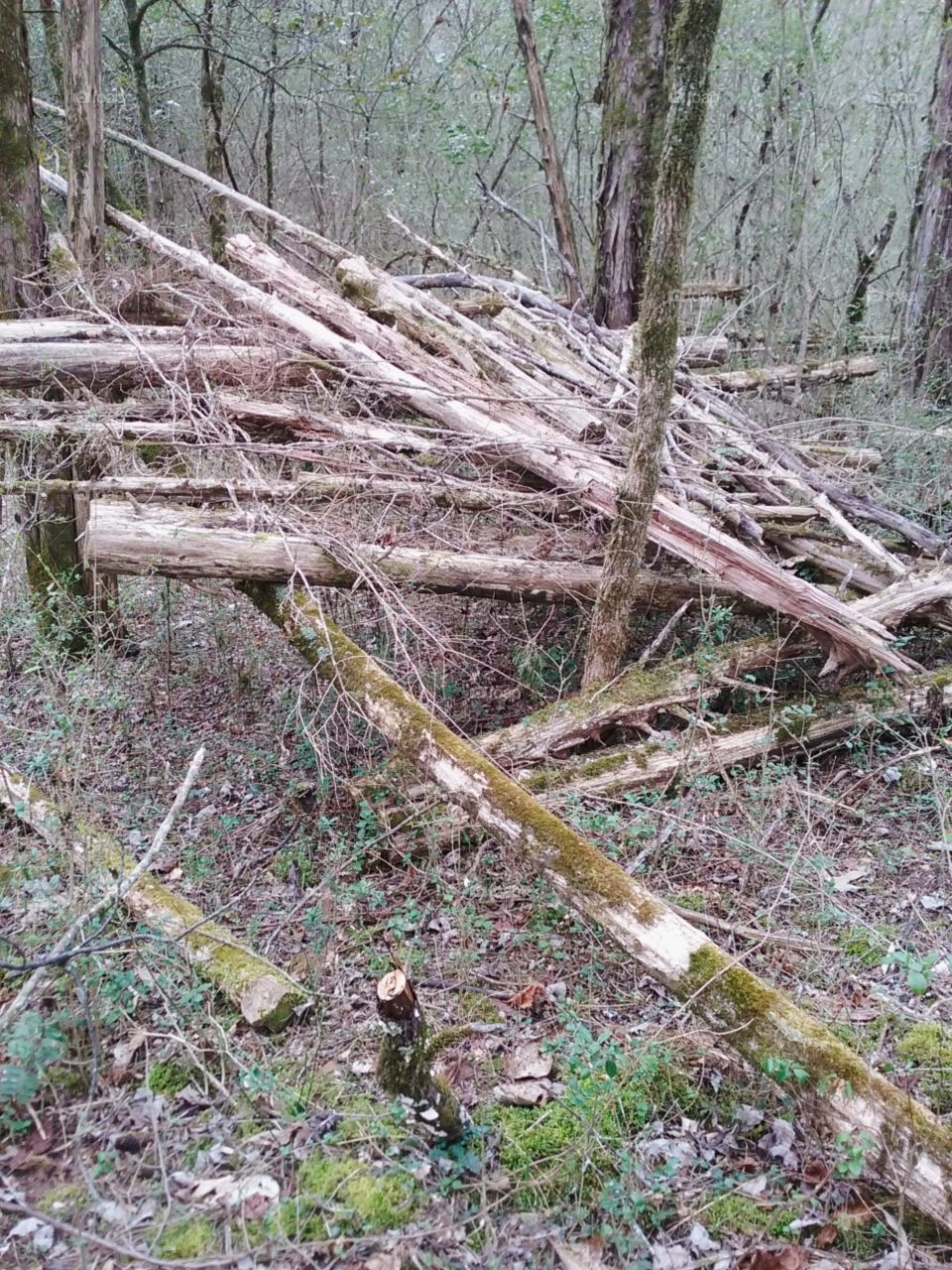 make shift hiding spot