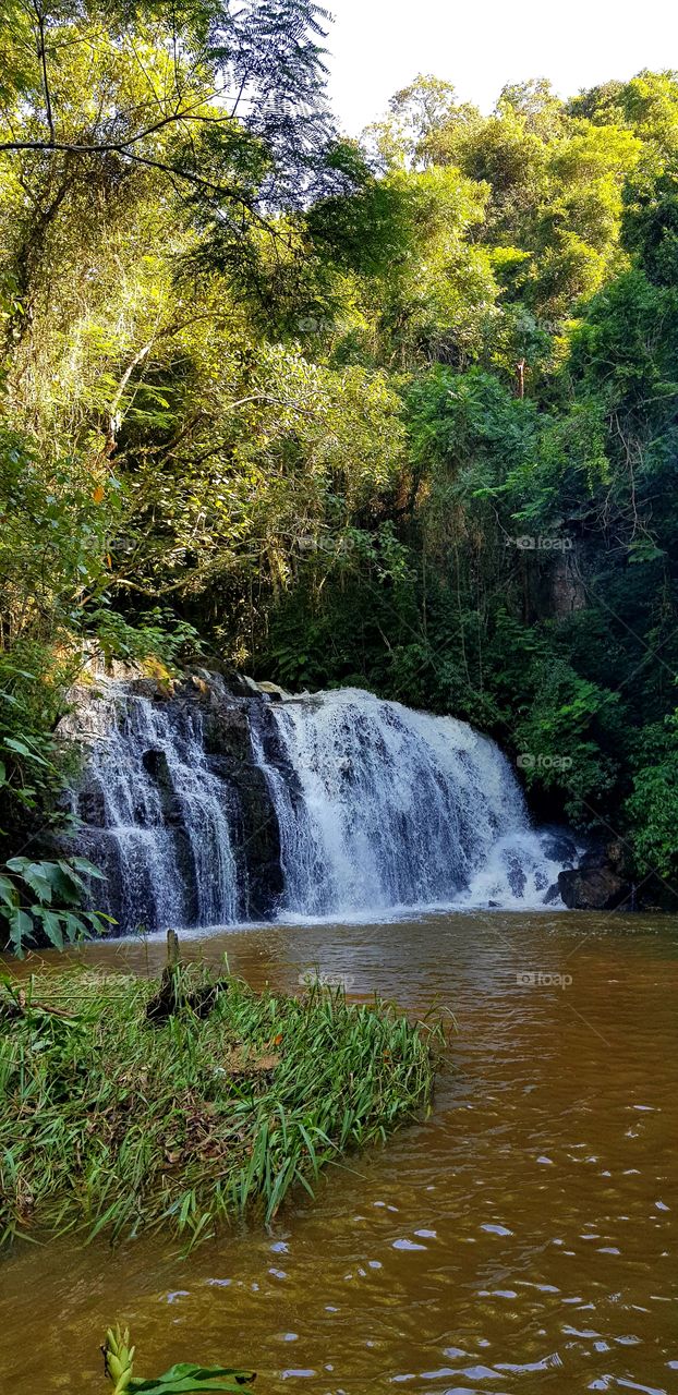 Cachoeria Morungaba - Serra do Japi