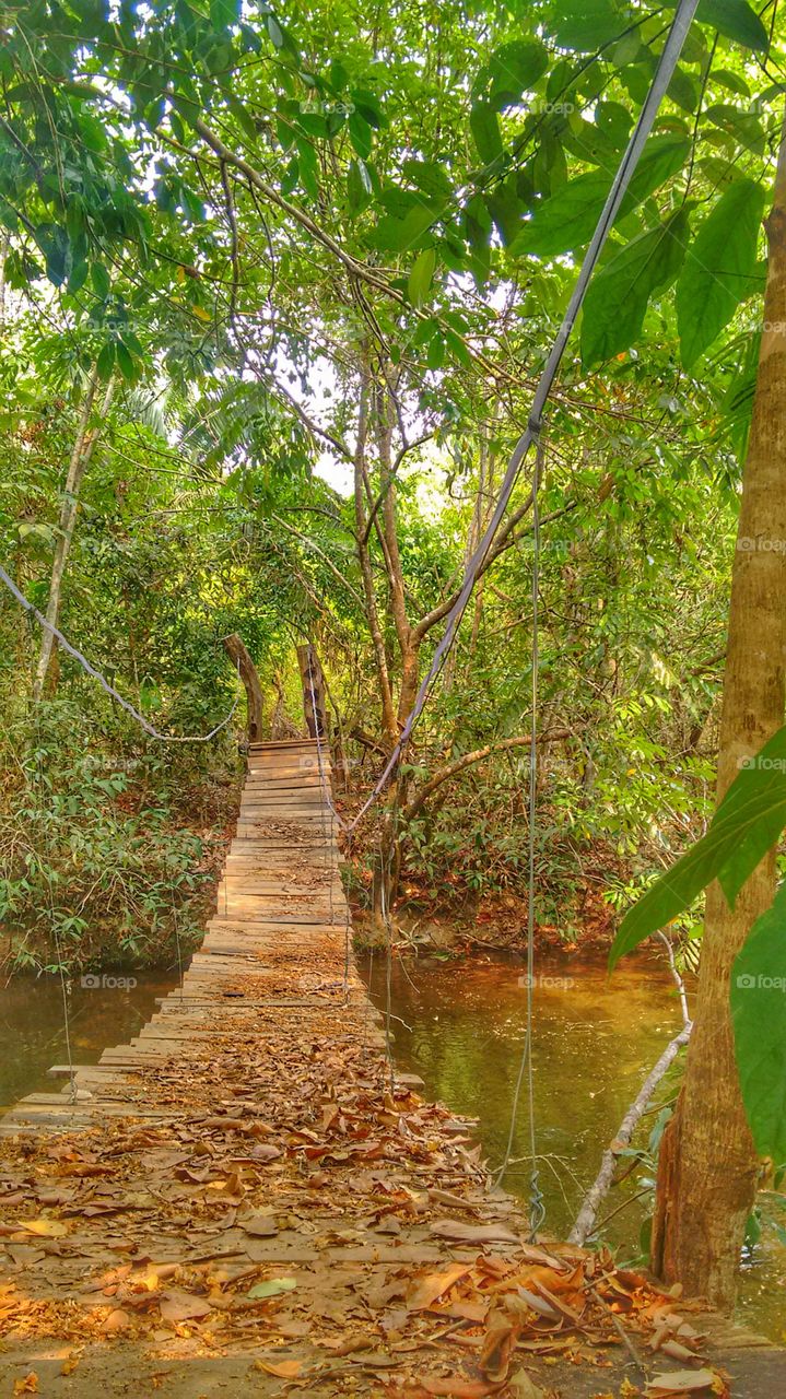 trilha ponte chapada dos veadeiros Goiás
