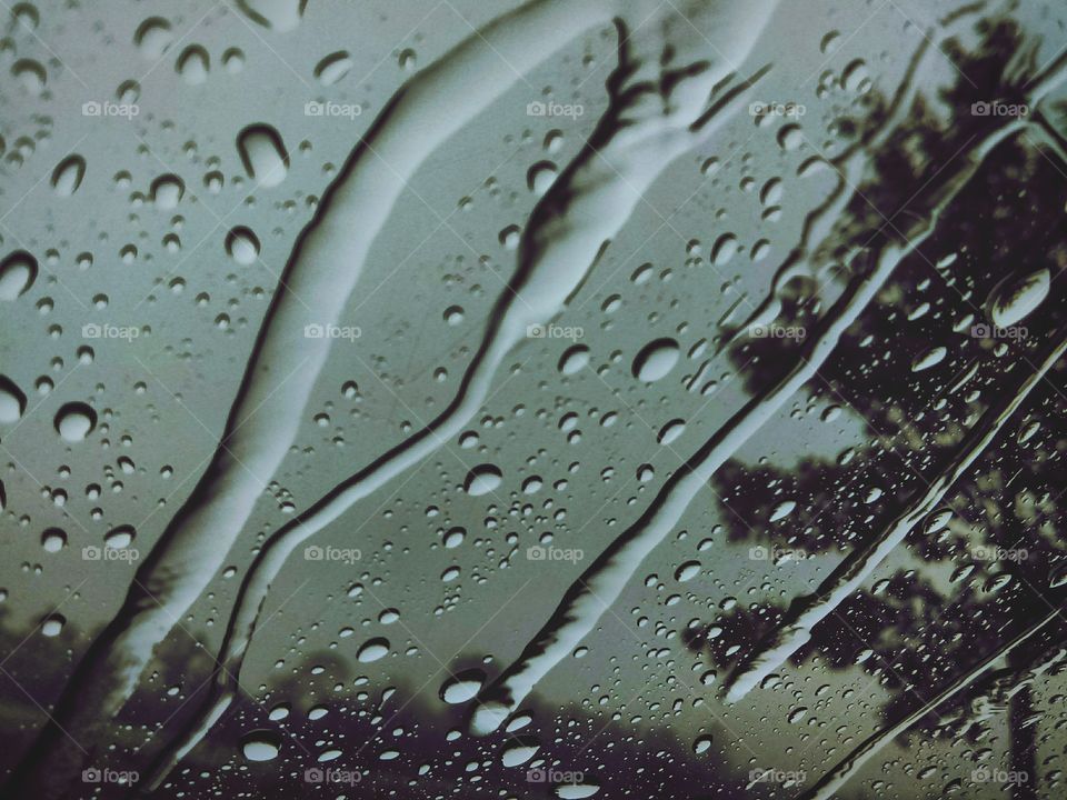 rainwater on a windshield
