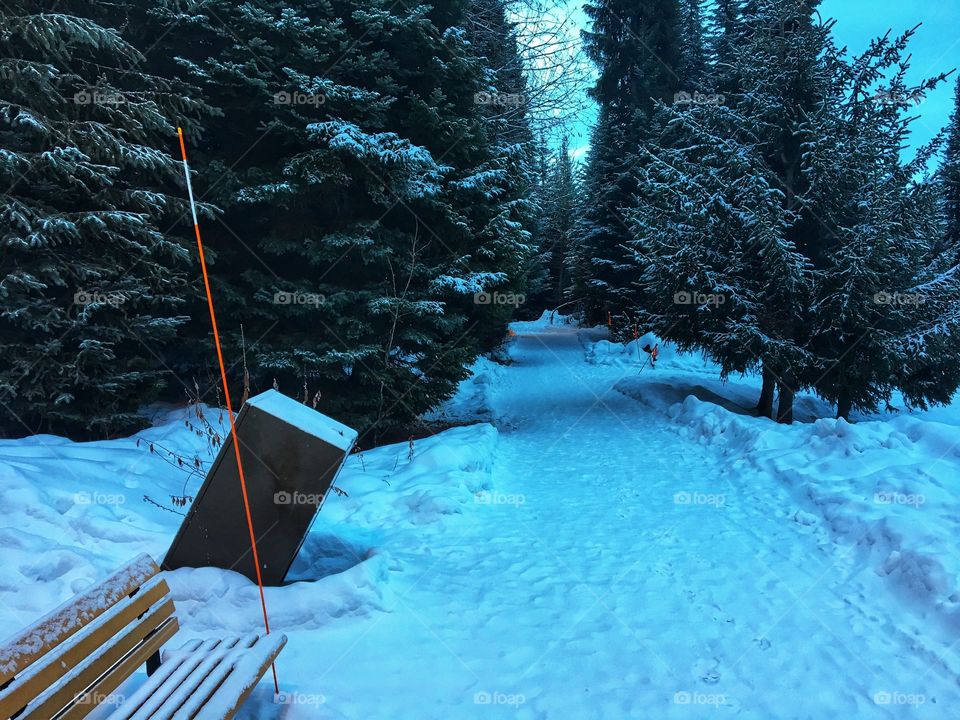 Frozen path 