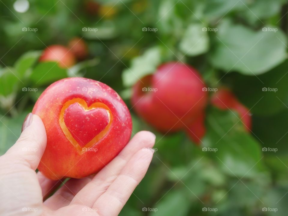 Delicious apple